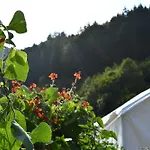 Wild Glamping In The Vienna Alps Nasswald