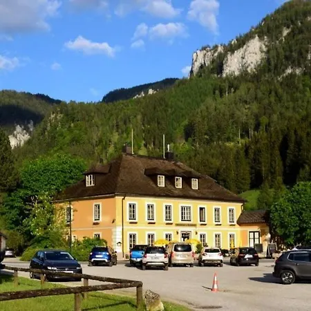 Wild Glamping In The Vienna Alps Glamping
