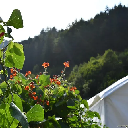 Wild Glamping In The Vienna Alps Nasswald