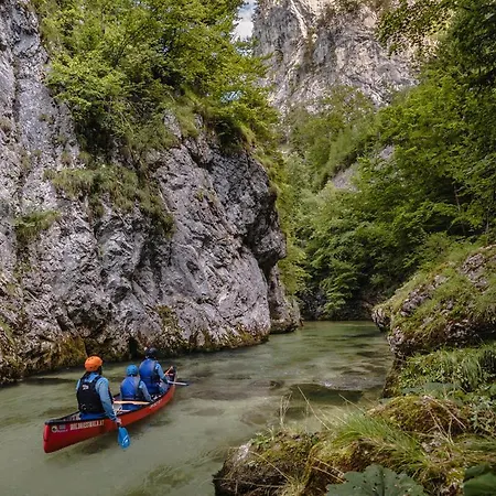Wild Glamping In The Vienna Alps Luxury tent Nasswald
