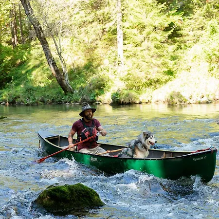 Wild Glamping In The Vienna Alps Nasswald