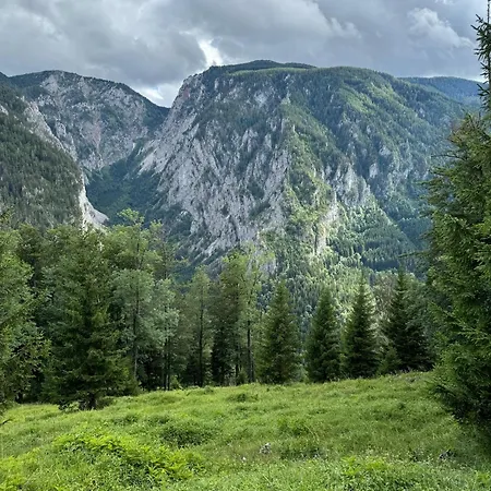 Wild Glamping In The Vienna Alps * Nasswald