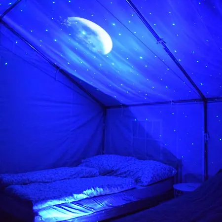 Wild Glamping In The Vienna Alps Luxury tent *