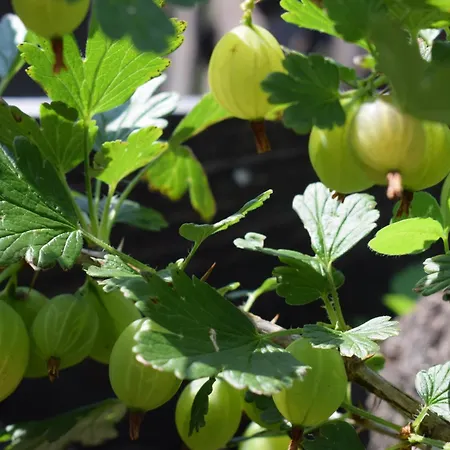 Wild Glamping In The Vienna Alps Nasswald