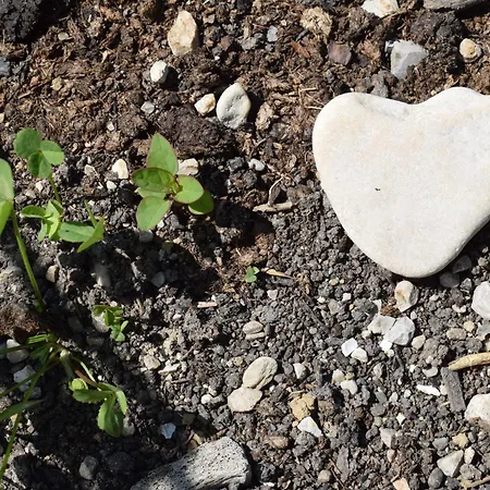 Wild Glamping In The Vienna Alps Nasswald