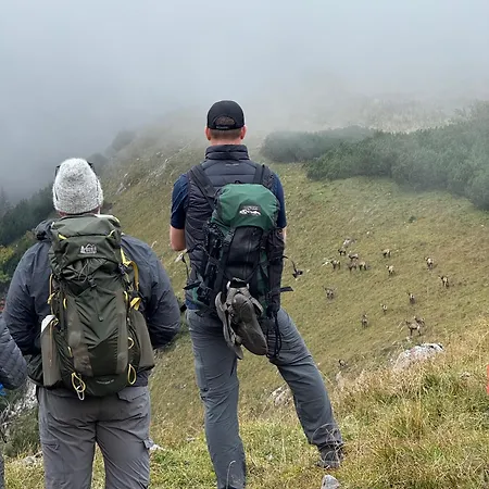 Luxury tent Wild Glamping In The Vienna Alps Nasswald