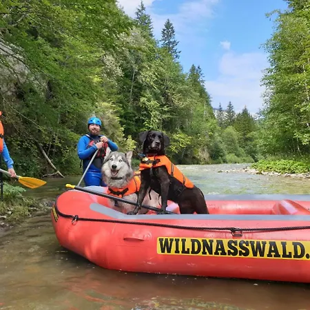 Wild Glamping In The Vienna Alps Luxury tent *