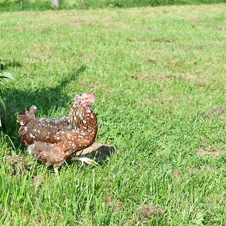 Luxury tent Wild Glamping In The Vienna Alps