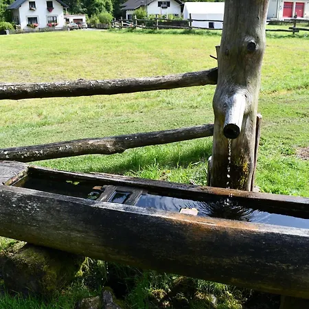 Wild Glamping In The Vienna Alps