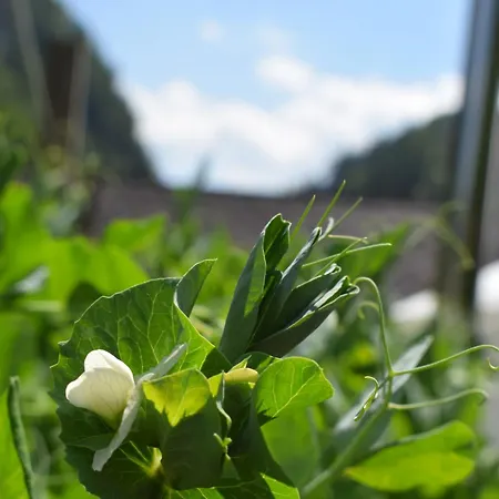 Wild Glamping In The Vienna Alps Nasswald