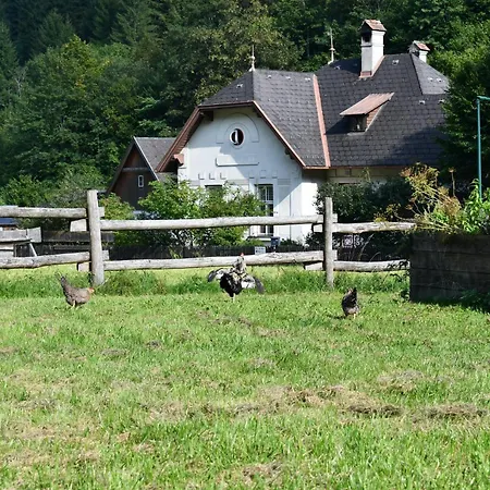 Wild Glamping In The Vienna Alps