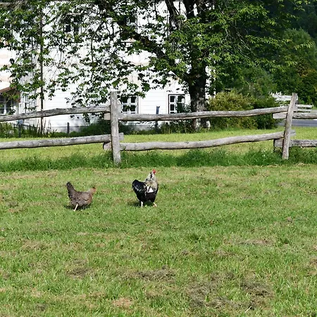 Wild Glamping In The Vienna Alps * Nasswald