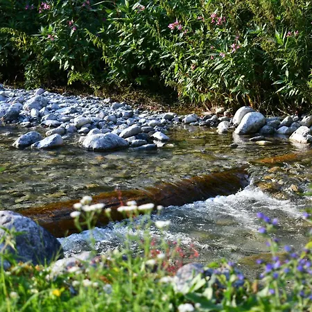 Lüks kamp alanı Wild Glamping In The Vienna Alps