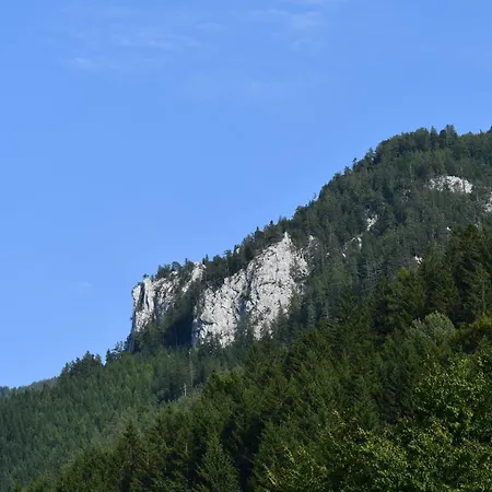 Wild Glamping In The Vienna Alps *