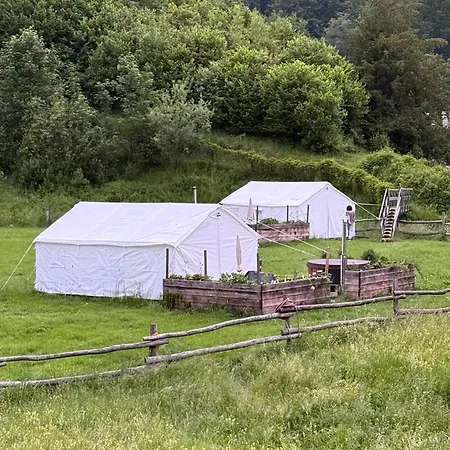 Wild Glamping In The Vienna Alps *