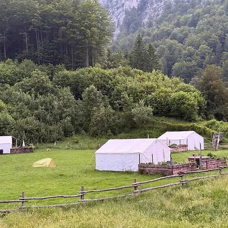 Wild Glamping In The Vienna Alps Lüks kamp alanı Nasswald