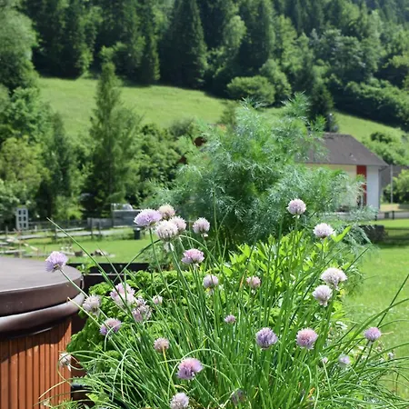 Wild Glamping In The Vienna Alps Glamping Nasswald