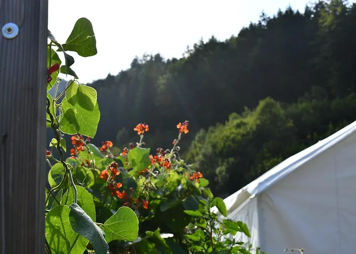 Wild Glamping In The Vienna Alps Nasswald