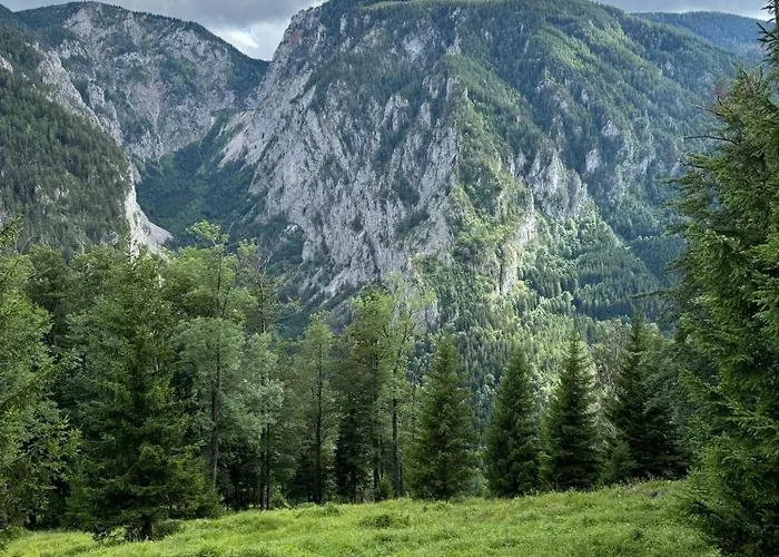 Wild Glamping In The Vienna Alps * Nasswald