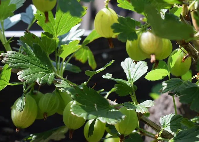 Wild Glamping In The Vienna Alps Nasswald