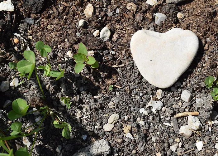 Wild Glamping In The Vienna Alps Nasswald