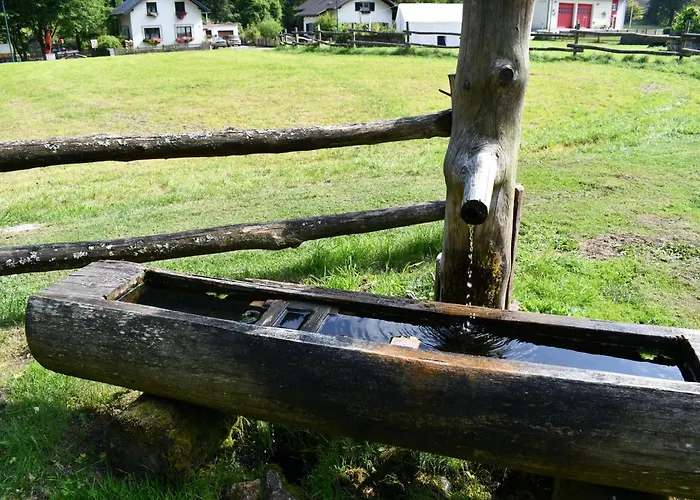 Wild Glamping In The Vienna Alps