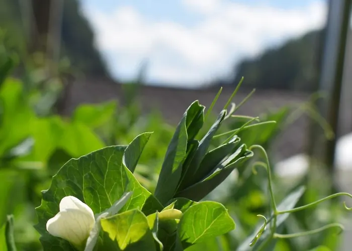 Wild Glamping In The Vienna Alps Nasswald