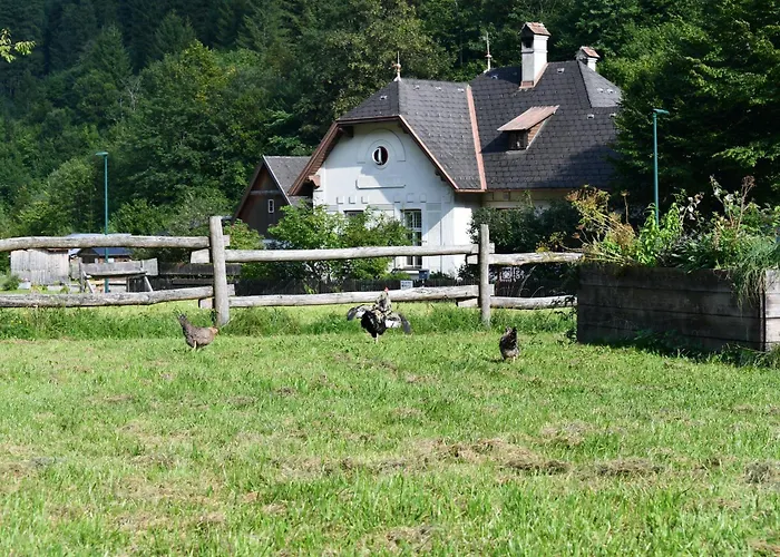 Wild Glamping In The Vienna Alps
