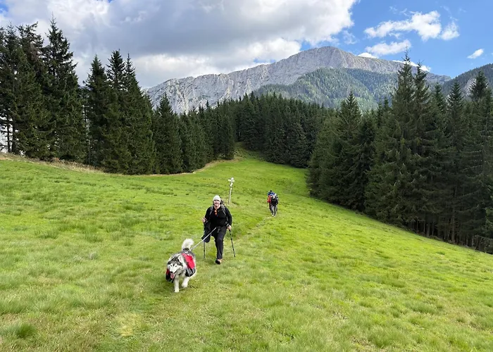 Wild Glamping In The Vienna Alps