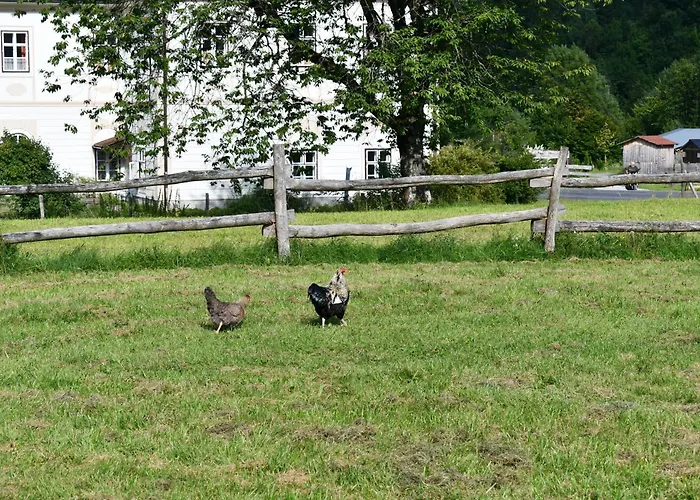 Wild Glamping In The Vienna Alps * Nasswald