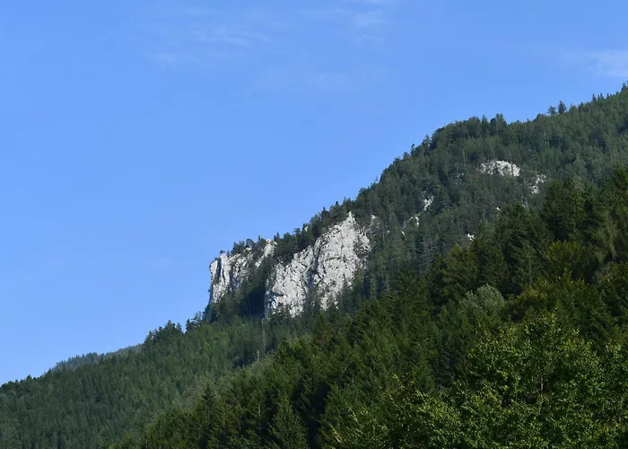 Wild Glamping In The Vienna Alps *