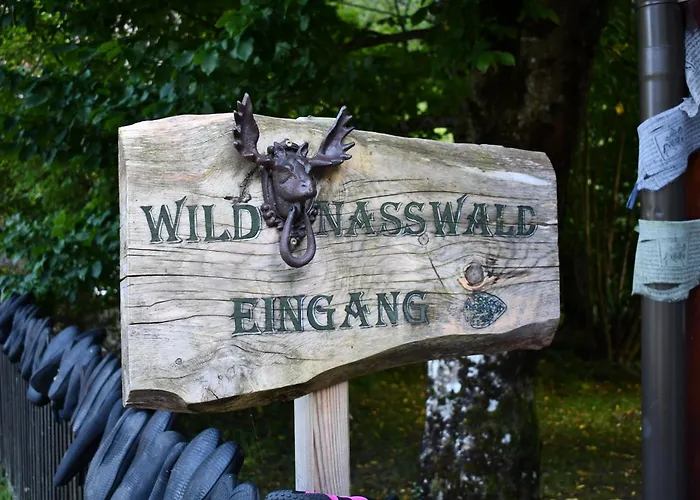 Luxuszelt Wild Glamping In The Vienna Alps *